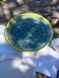 Тарілка Кругла 24 см Yellow Ocean 2212392092 фото 5